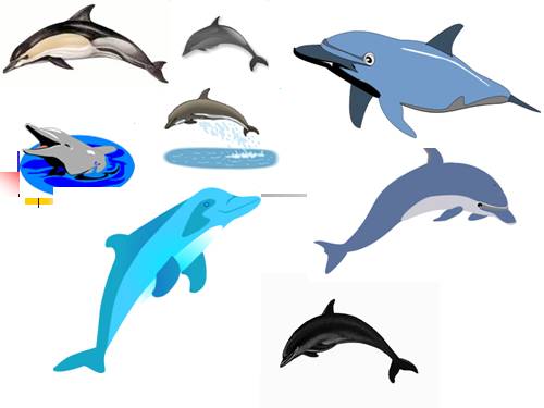 ClipArt chèn vào PPT2