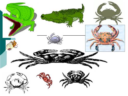 ClipArt chèn vào PPT