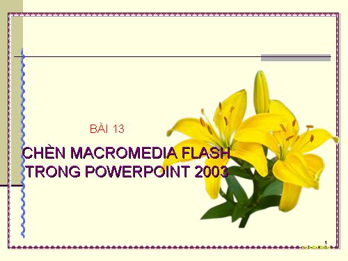 Chèn MacroMedia Flash trong PP 2003