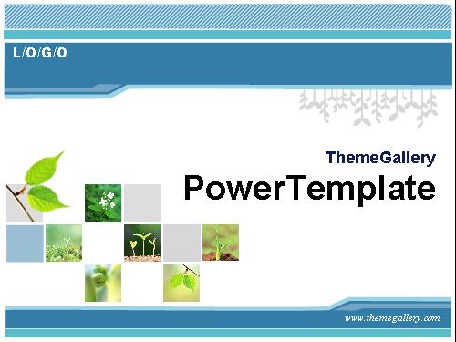 PowerPoint Template 33 (tuyệt đẹp - quý hiếm)