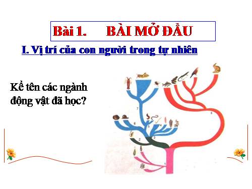 Bài 1. Bài mở đầu