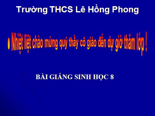 Bài 28. Tiêu hóa ở ruột non