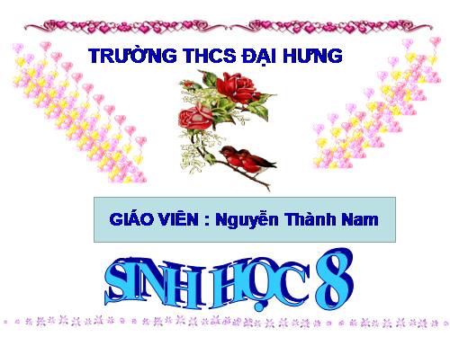 Bài 13. Máu và môi trường trong cơ thể