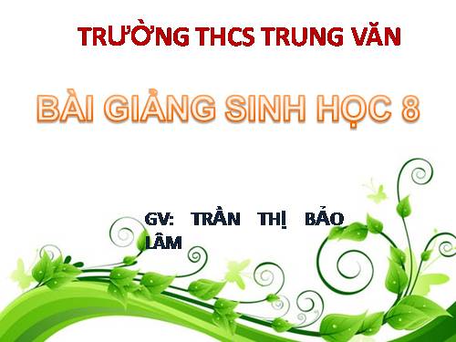 Bài 17. Tim và mạch máu