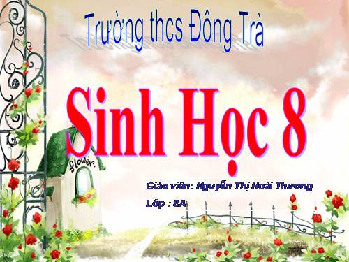 Bài 11. Tiến hóa của hệ vận động. Vệ sinh hệ vận động