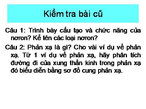 Bài 7. Bộ xương