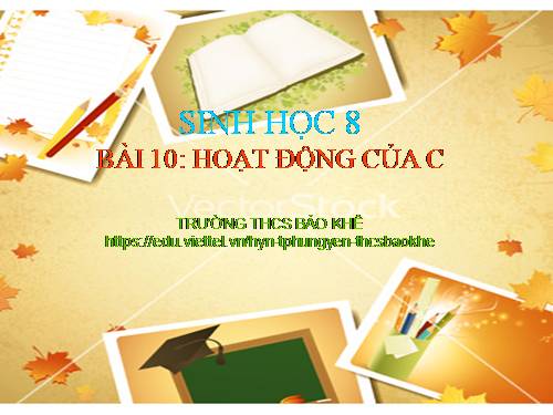 Bài 10. Hoạt động của cơ