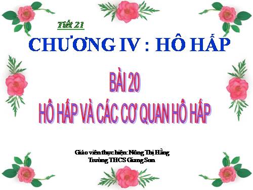 Bài 20. Hô hấp và các cơ quan hô hấp