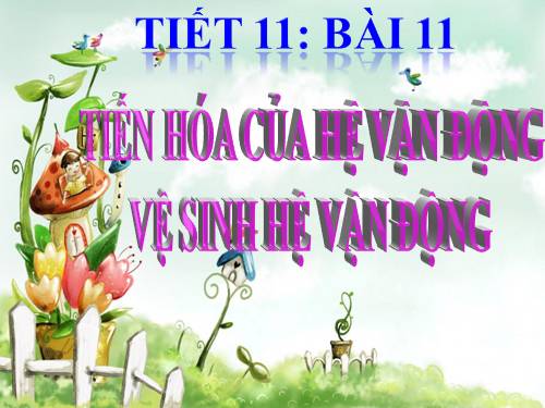 Bài 11. Tiến hóa của hệ vận động. Vệ sinh hệ vận động