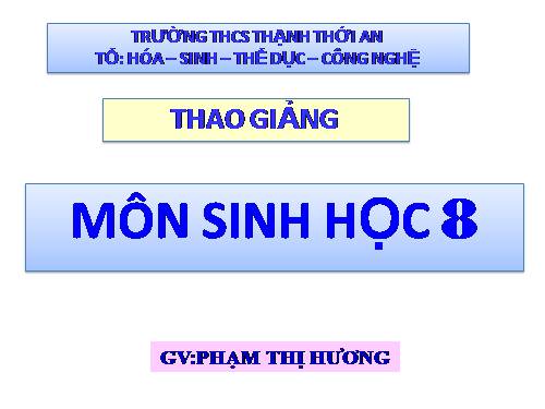 Bài 6. Phản xạ