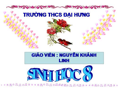 Bài 13. Máu và môi trường trong cơ thể