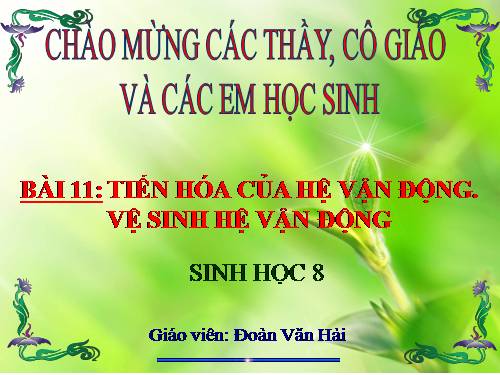 Bài 11. Tiến hóa của hệ vận động. Vệ sinh hệ vận động