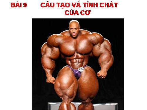 Bài 9. Cấu tạo và tính chất của cơ