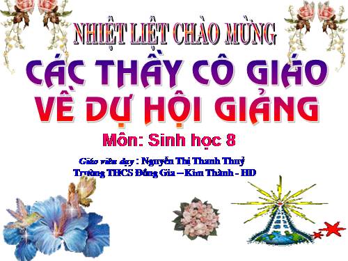 Bài 40. Vệ sinh hệ bài tiết nước tiểu