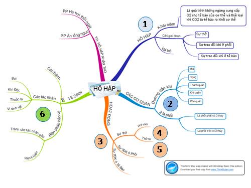 Bài 35. Ôn tập học kì I