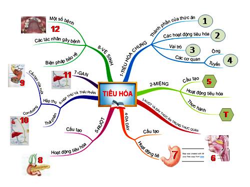 Bài 35. Ôn tập học kì I