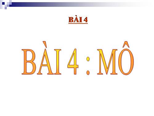 Bài 4. Mô