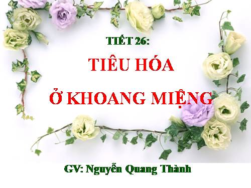 Bài 25. Tiêu hóa ở khoang miệng