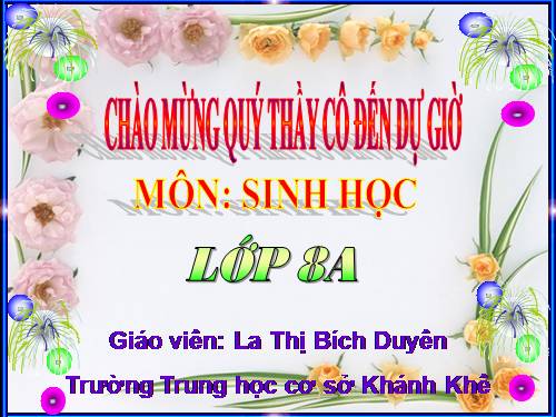 Bài 21. Hoạt động hô hấp