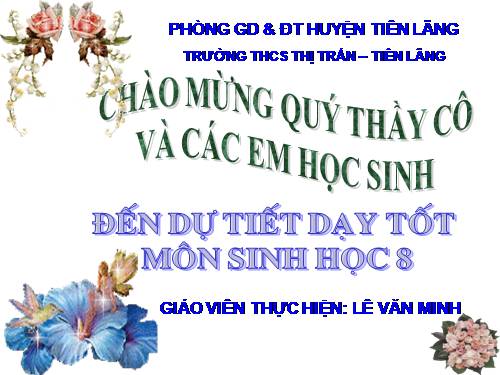 Bài 12. Thực hành: Tập sơ cứu và băng bó cho người gãy xương