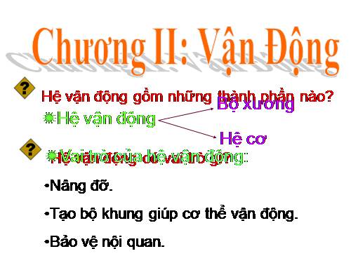 Bài 7. Bộ xương