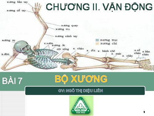 Bài 7. Bộ xương