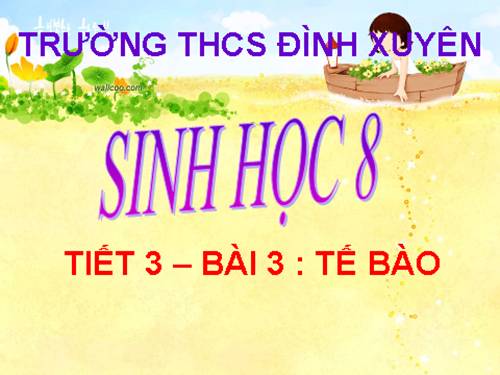 Bài 3. Tế bào