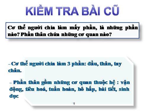 Bài 3. Tế bào