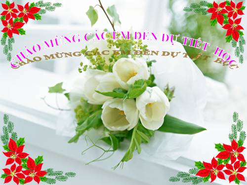 Bài 29. Hấp thụ chất dinh dưỡng và thải phân