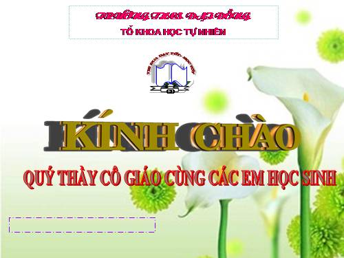Bài 66. Ôn tập - Tổng kết