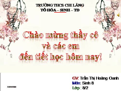 Bài 51. Cơ quan phân tích thính giác