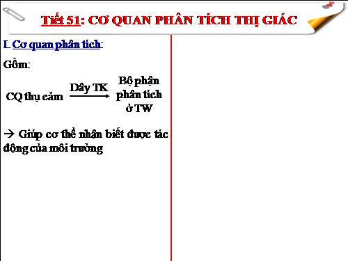 Bài 49. Cơ quan phân tích thị giác