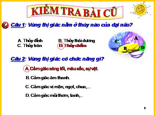 Bài 49. Cơ quan phân tích thị giác