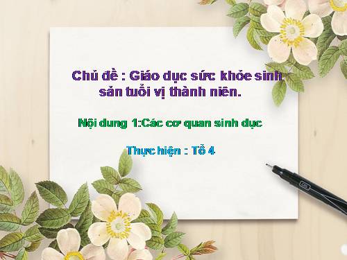 các cơ quan sinh dục