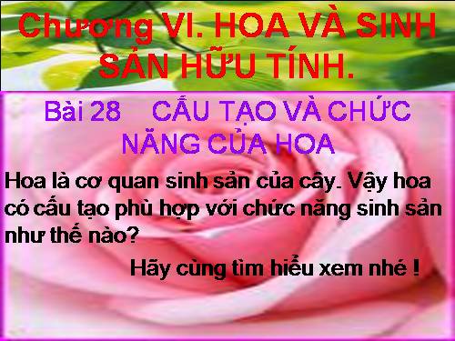 Bài 28. Cấu tạo và chức năng của hoa