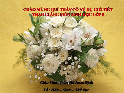 Bài 25. Tiêu hóa ở khoang miệng