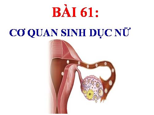 Bài 61. Cơ quan sinh dục nữ