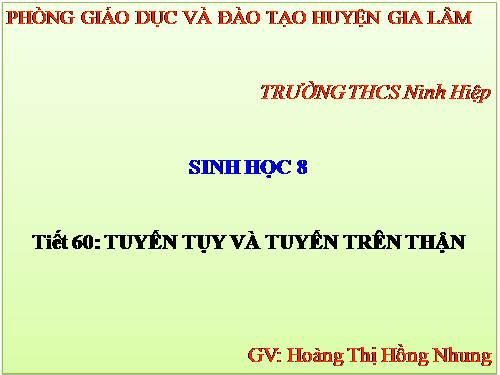 Bài 57. Tuyến tụy và tuyến trên thận