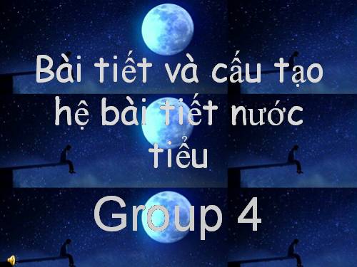 Bài 38. Bài tiết và cấu tạo hệ bài tiết nước tiểu