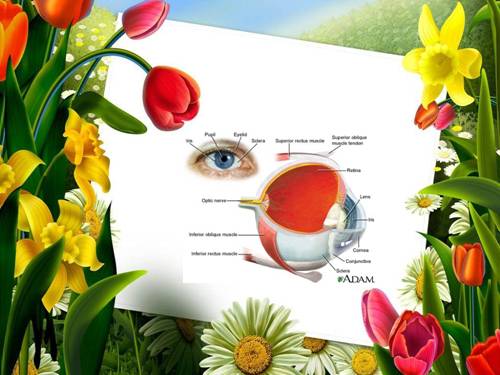 Bài 50 Vệ sinh mắt