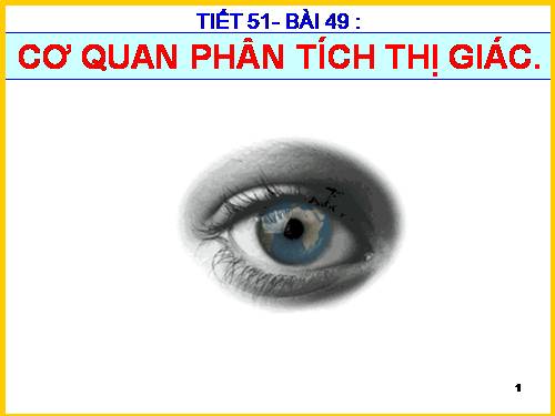 Bài 49. Cơ quan phân tích thị giác