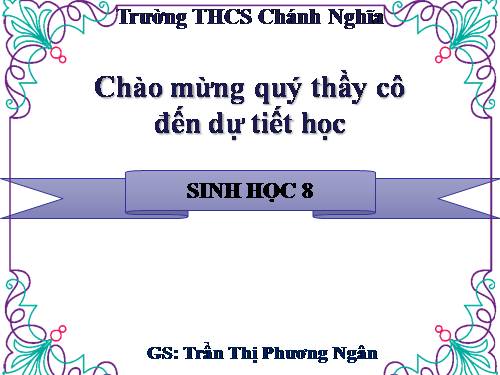 Bài 49. Cơ quan phân tích thị giác