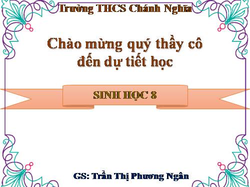 Bài 47. Đại não