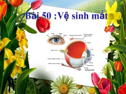 Bài 50 Vệ sinh mắt