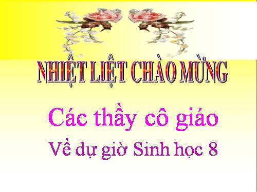 Bài 51. Cơ quan phân tích thính giác