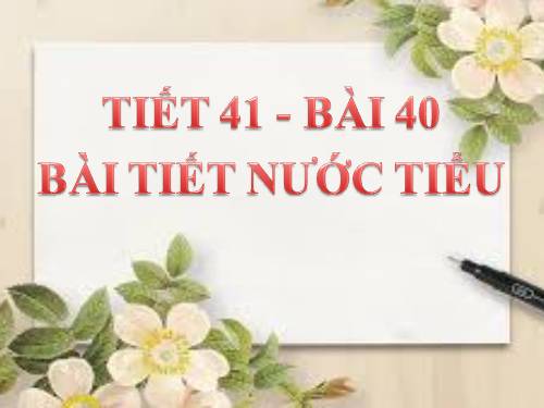 Bài 39. Bài tiết nước tiểu