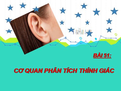 Bài 51. Cơ quan phân tích thính giác