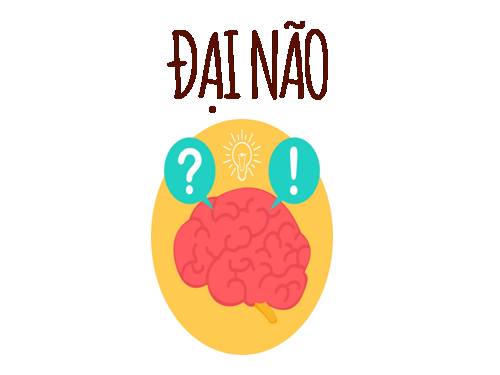 Bài 47. Đại não
