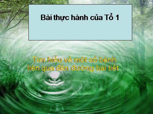 Bài 40. Vệ sinh hệ bài tiết nước tiểu