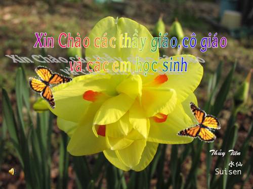Bài 46. Trụ não. Tiểu não. Não trung gian
